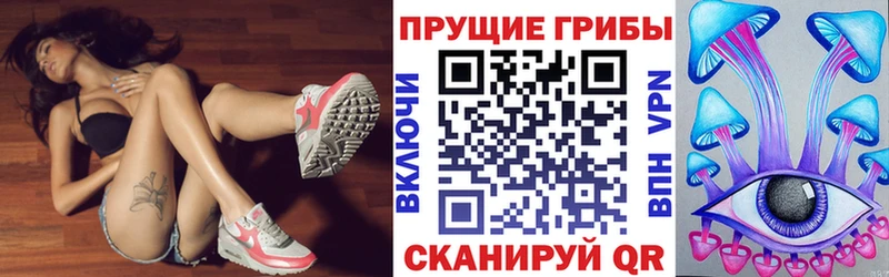Галлюциногенные грибы мицелий  Нестеров 